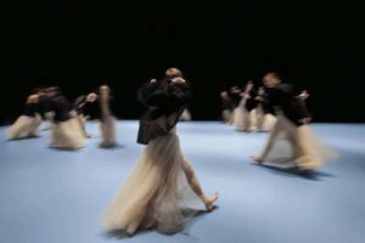 Nederlands Dans Theater 2